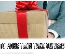 How to Make Team Take Ownership